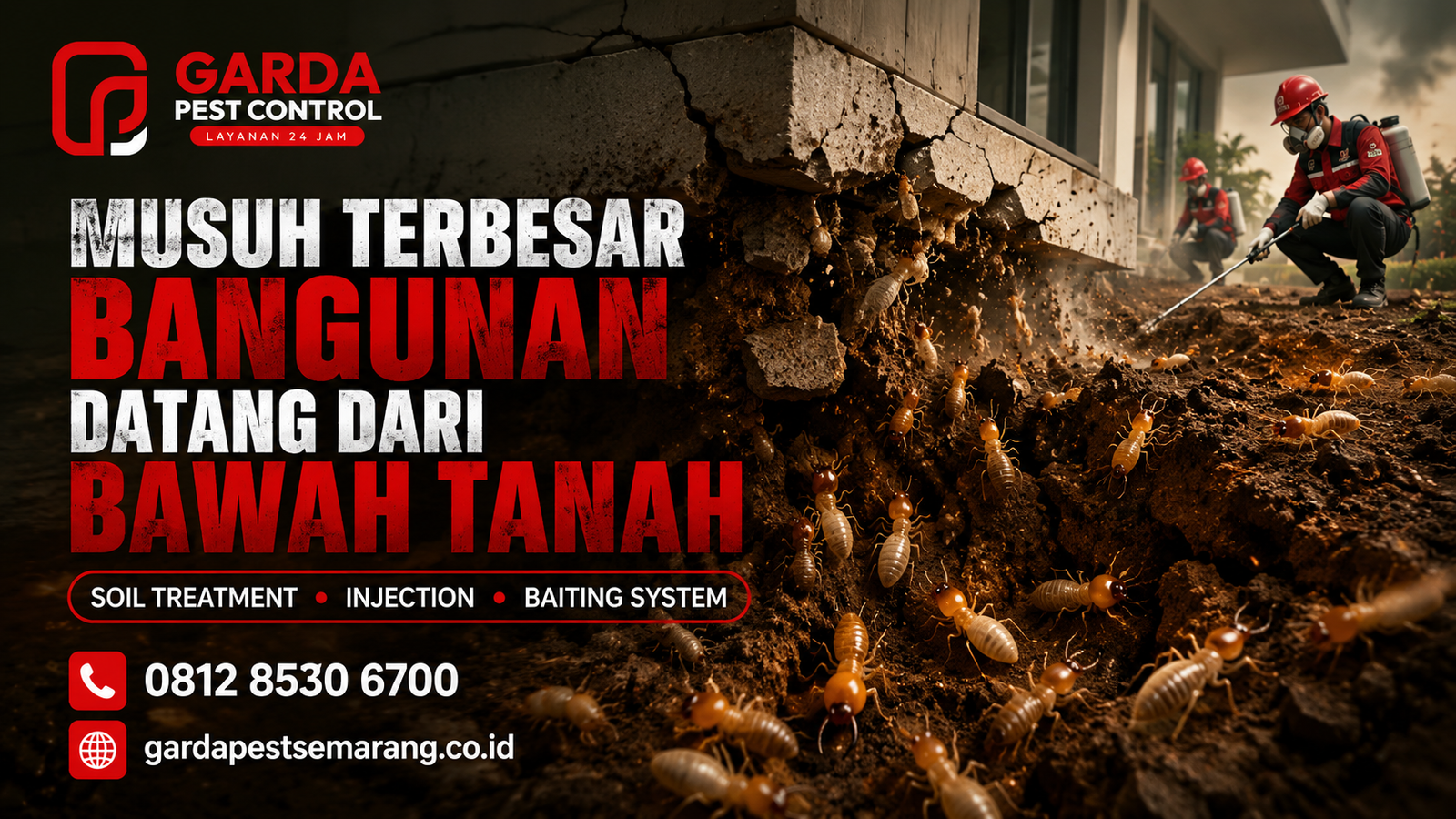 Jasa Anti Rayap Semarang Termurah