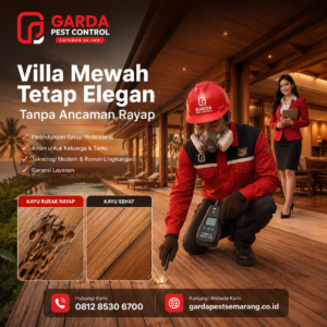 Jasa Anti Rayap Semarang