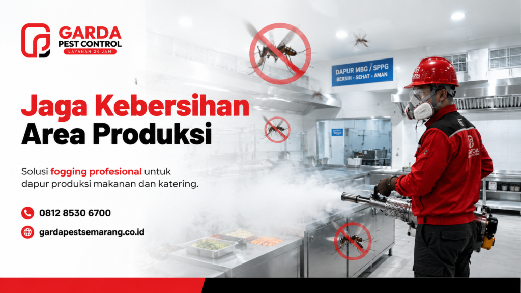 Jasa Pembasmi Hama Semarang (Rayap, Nyamuk, Kecoa, Tikus dll)