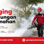 Harga Jasa Fogging Semarang