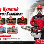 Harga Jasa Fogging Nyamuk Rumah di Semarang