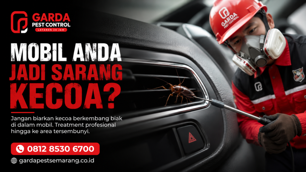 Jasa Pembasmi Kecoa di Mobil Jakarta Harga Terjangkau