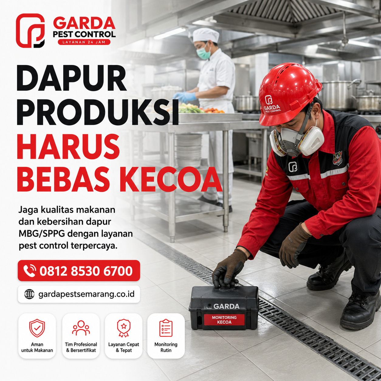 Jasa Pembasmi Kecoa di Semarang Murah Bergaransi