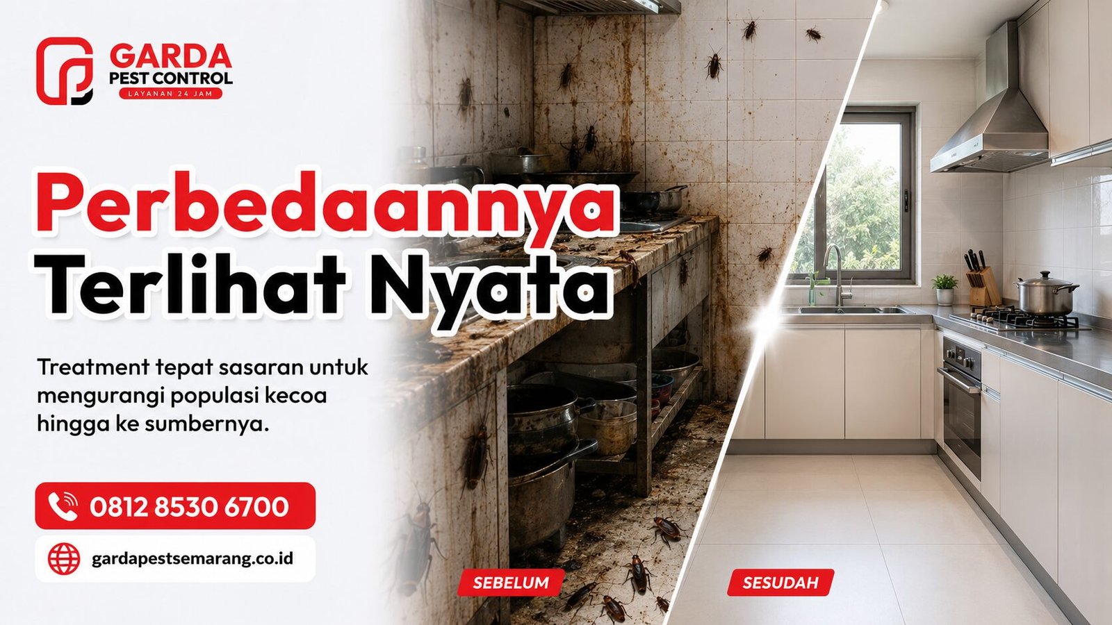 Jasa Pembasmi Kecoa di Mijen Semarang Layanan 24 Jam