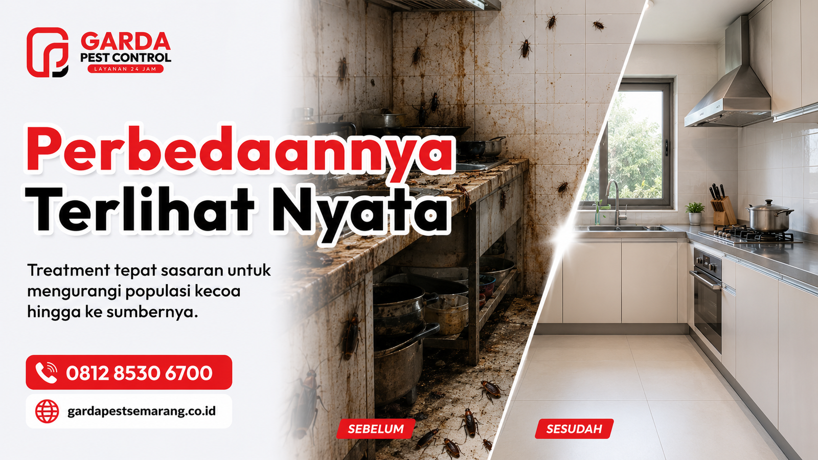 Jasa Pembasmi Kecoa di Mijen Semarang Layanan 24 Jam