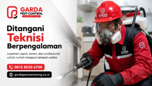 Perusahaan Pembasmi Kecoa di Semarang Murah Berkualitas - Garda Pest Control Semarang