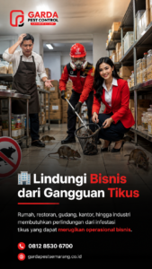 Jasa Basmi Tikus Terkemuka di Semarang