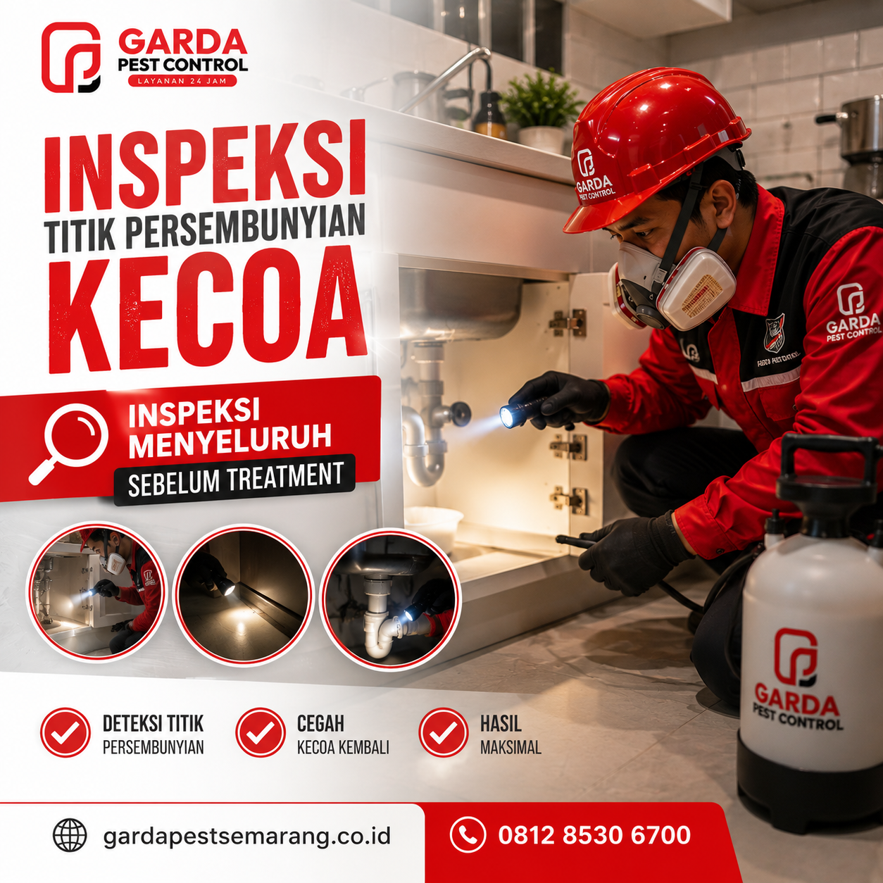 Biaya Pembasmi Kecoa Semarang: Solusi Efektif untuk Hunian Bebas Hama