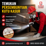 Jasa Pembasmi Kutu Busuk Semarang