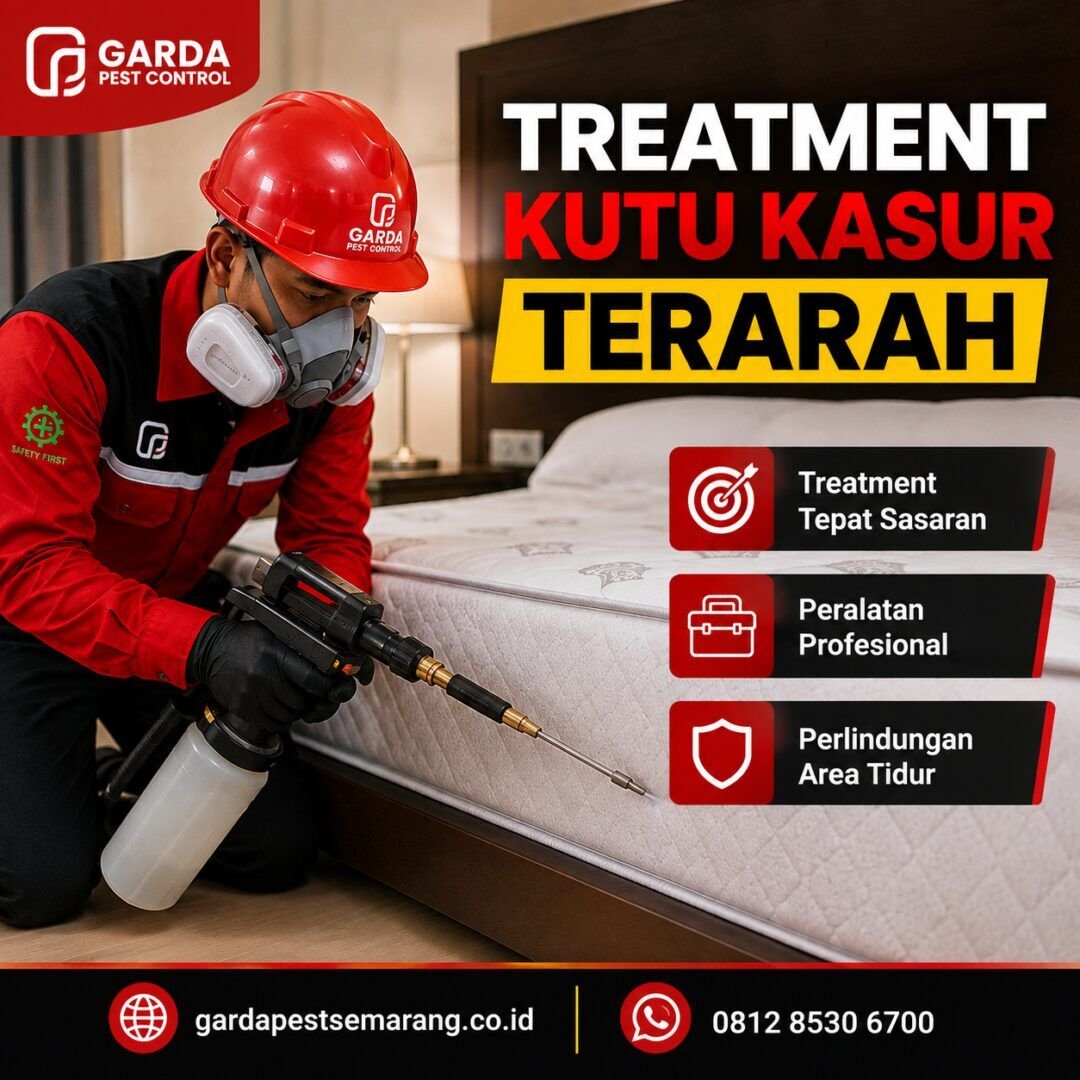 Jasa Pembasmi Kutu Kasur Semarang Aman untuk Bayi dan Keluarga