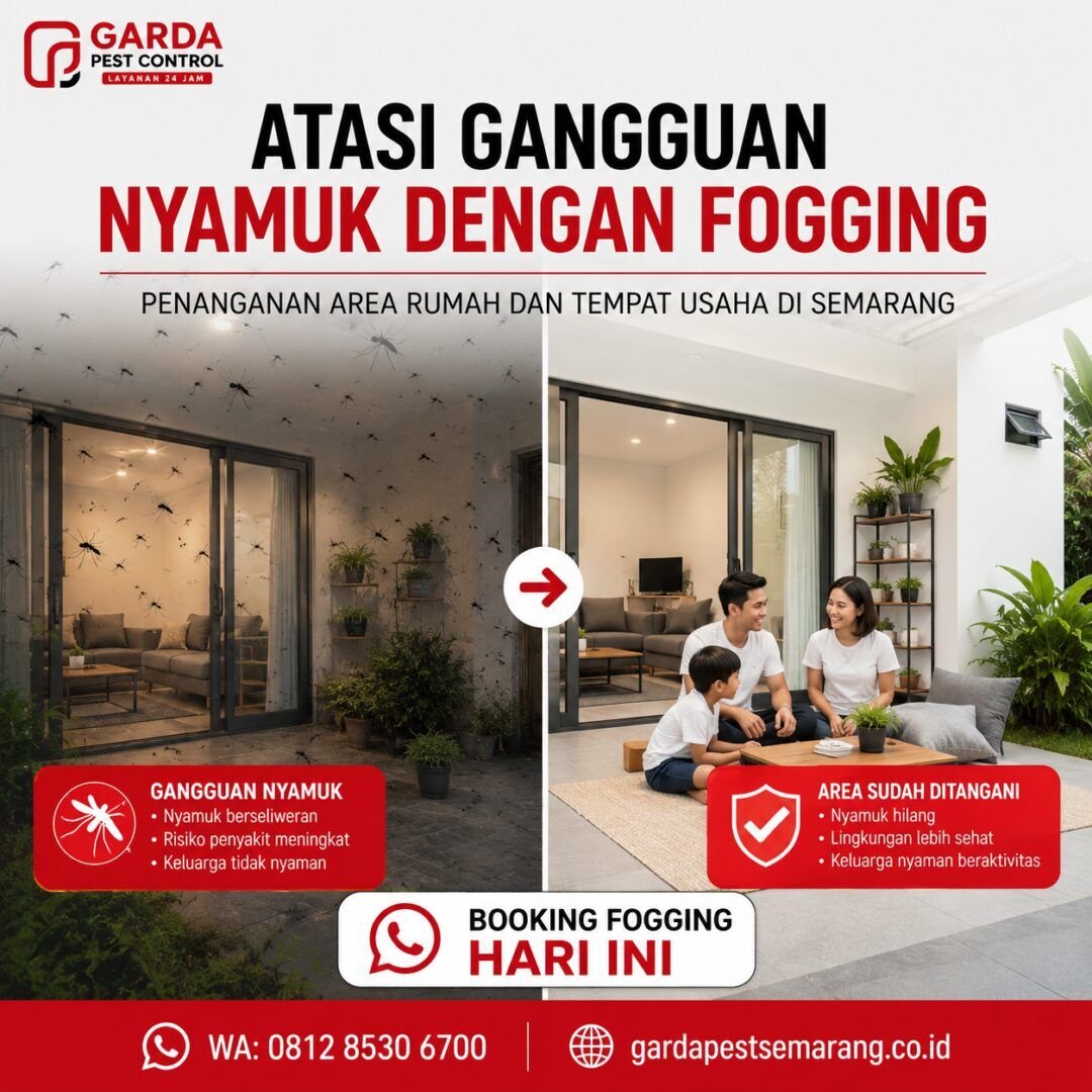 Rincian Biaya Jasa Fogging Nyamuk Rumah di Semarang Terbaru