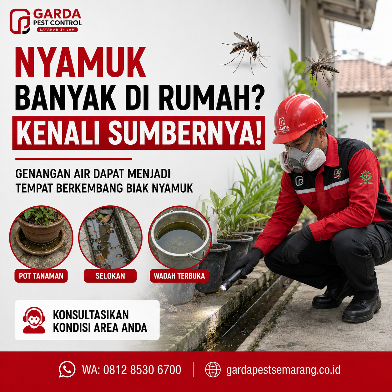 Rincian Biaya Jasa Fogging Nyamuk Rumah di Semarang Terbaru