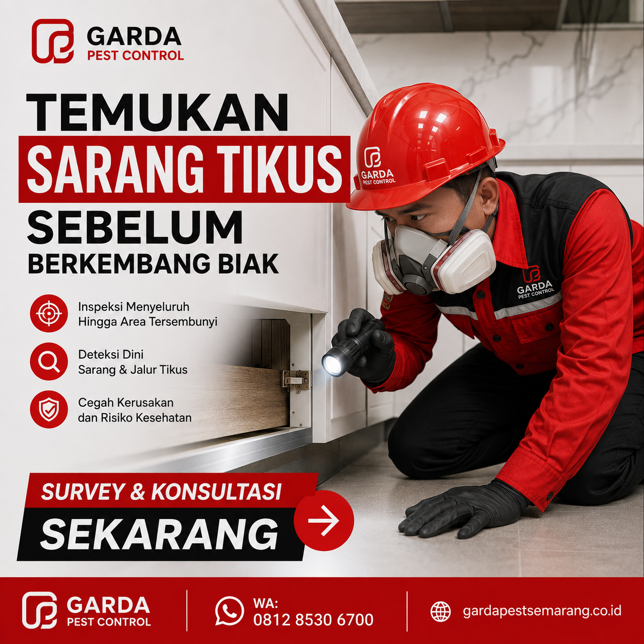 Jasa Pembasmi Tikus Semarang Terdekat: Solusi Cepat Tuntas Pengendalian Hama Rumah dan Bisnis