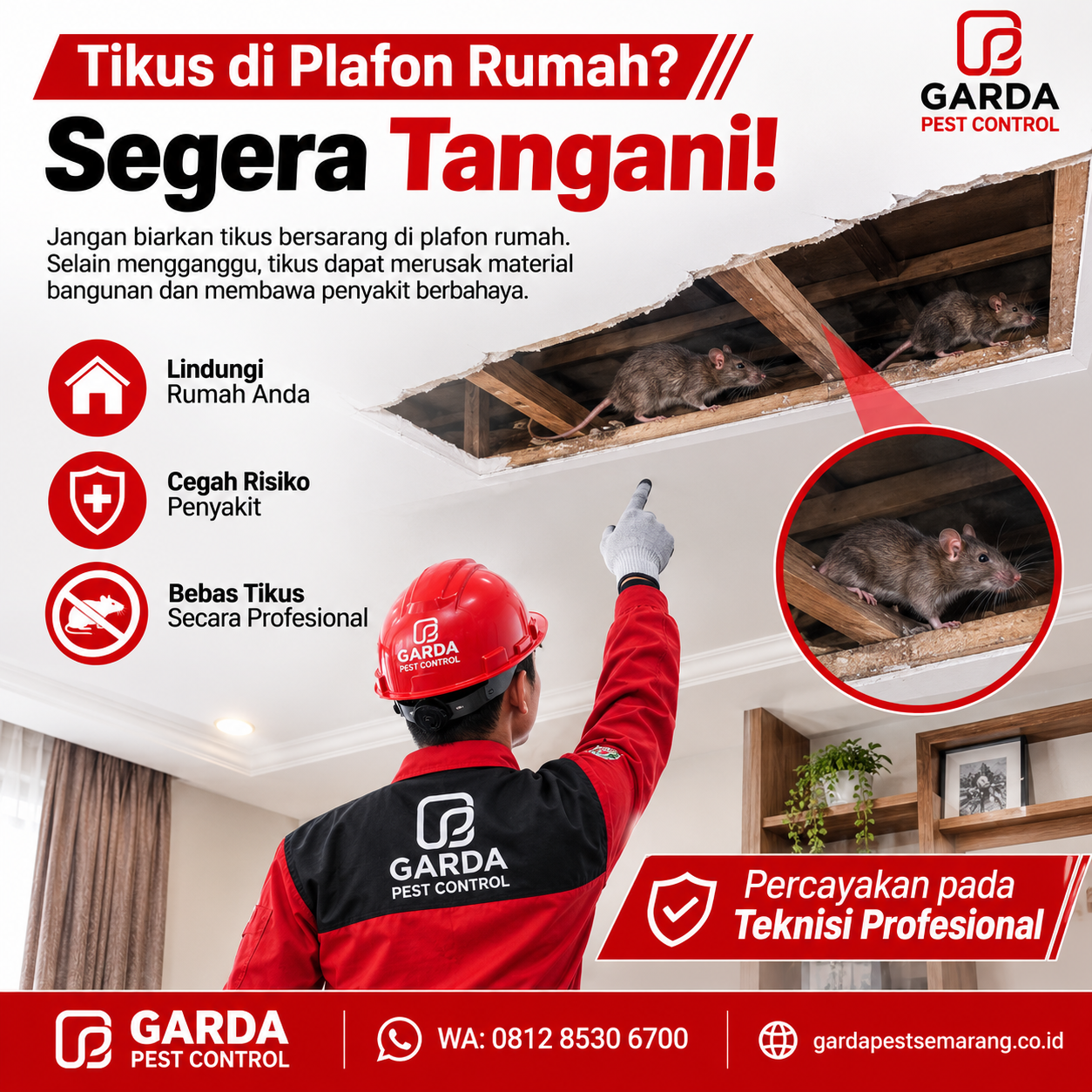 Biaya Jasa Pembasmi Tikus Semarang: Estimas Tarif dan Metode Penanganan