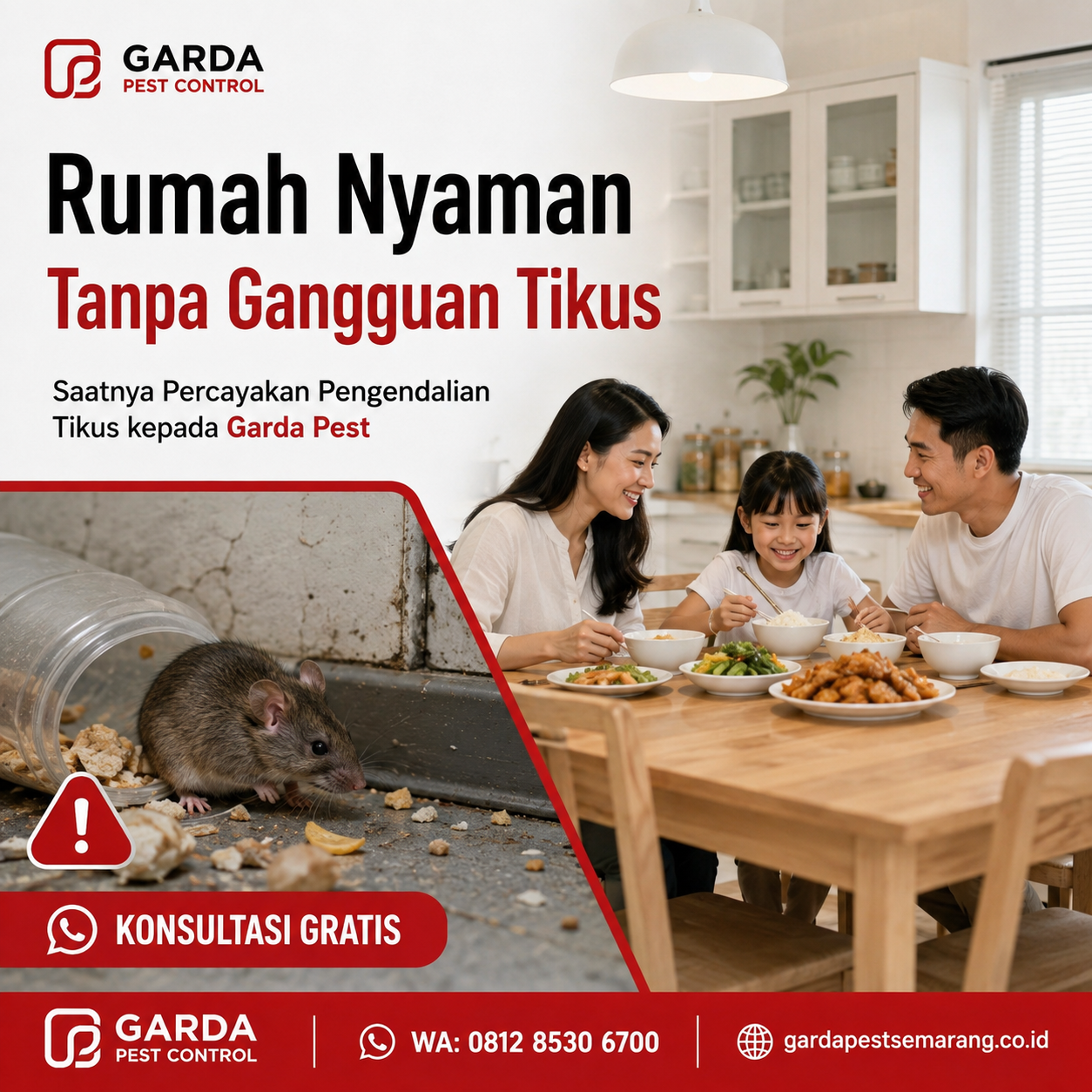 Jasa Pembasmi Tikus 24 Jam Semarang Terpercaya untuk Rumah dan Bisnis