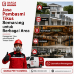 Jasa Pembasmi Tikus Restoran dan Gudang Semarang: Layanan Profesional untuk Bisnis Kuliner & Logistik