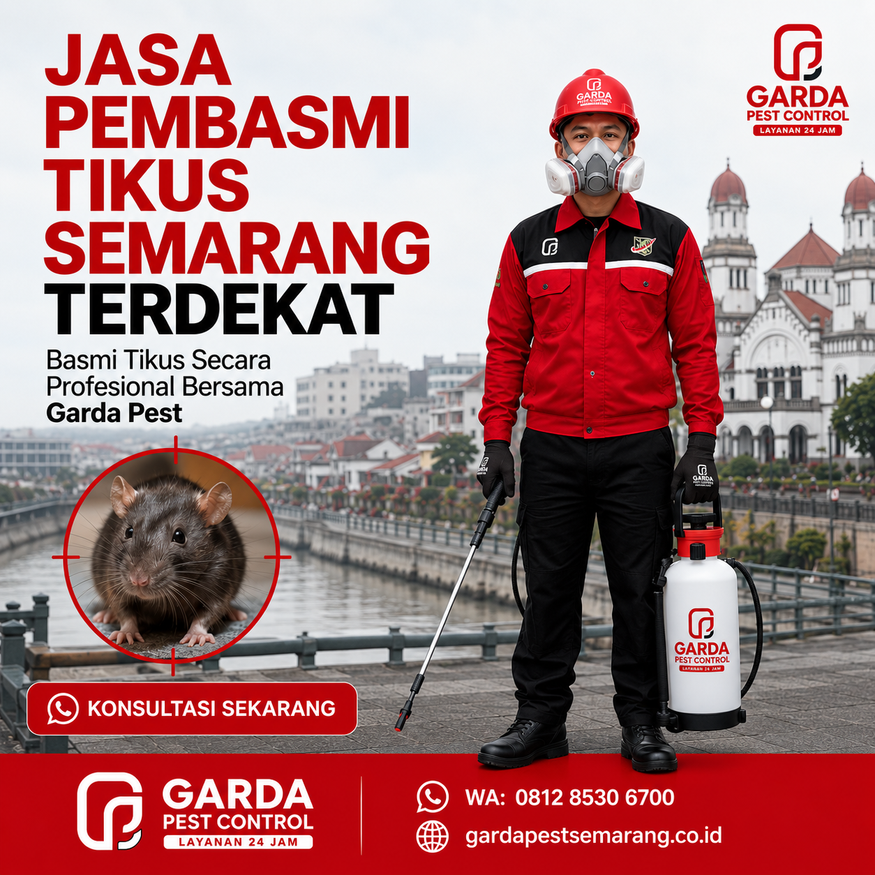 Bahaya Kencing Tikus dan Risiko Kesehatan di Rumah Semarang: Penyakit Menular dan Langkah Penanganannya
