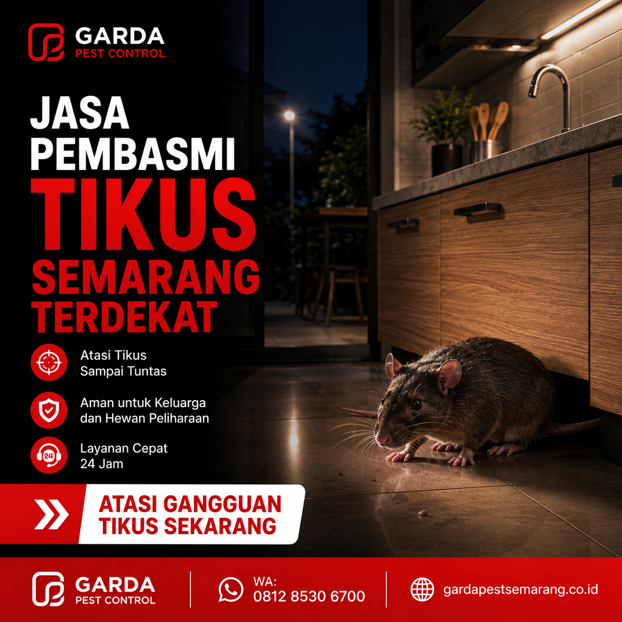 Jasa Pembasmi Tikus Semarang Terdekat: Solusi Cepat Tuntas Pengendalian Hama Rumah dan Bisnis