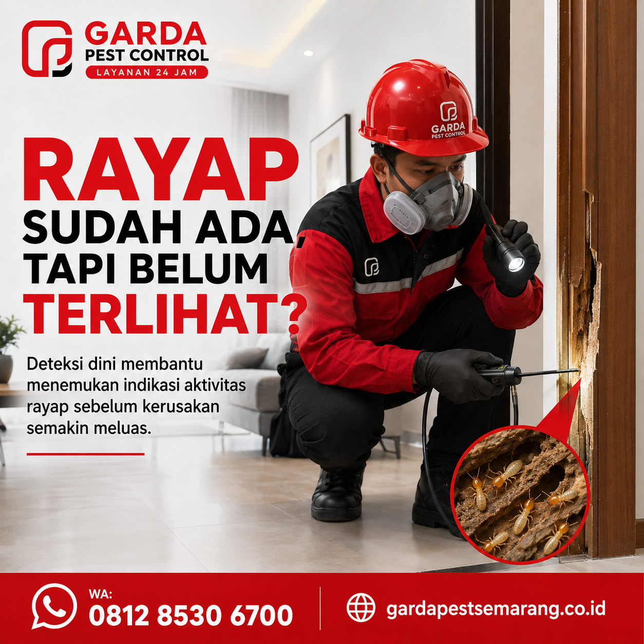 Jasa Pembasmi Rayap Semarang Deteksi Dini untuk Perlindungan Rumah