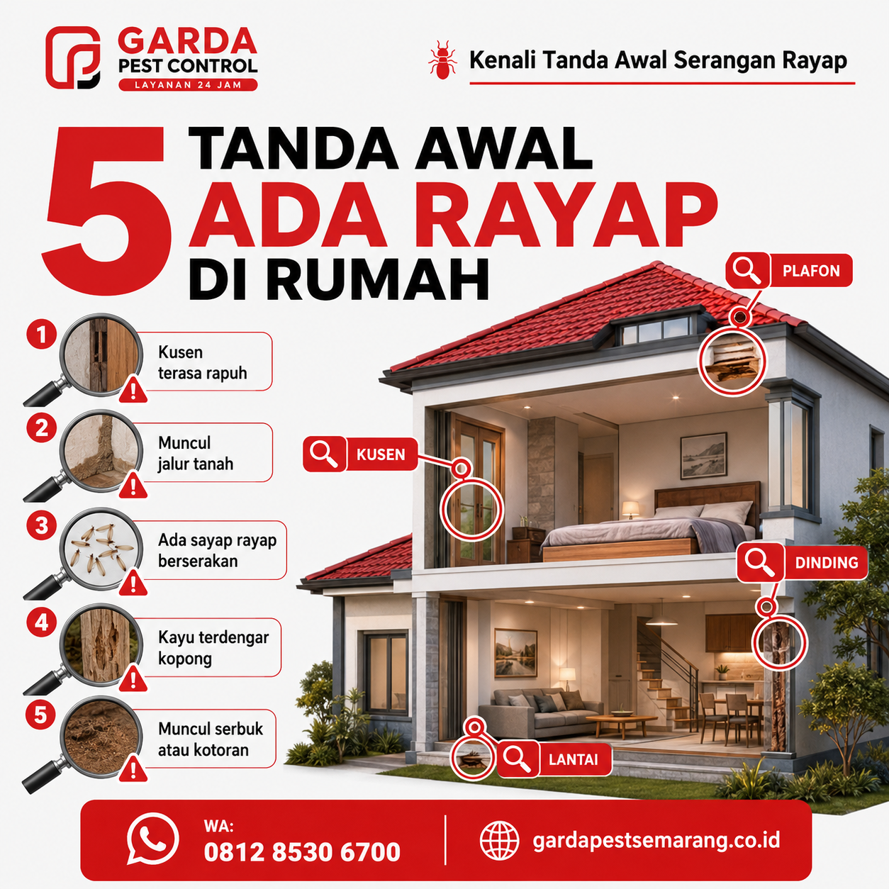Jasa Pembasmi Rayap Semarang Deteksi Dini untuk Perlindungan Rumah