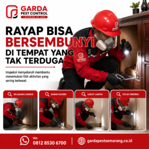 Jasa Pengendalian Hama Rayap