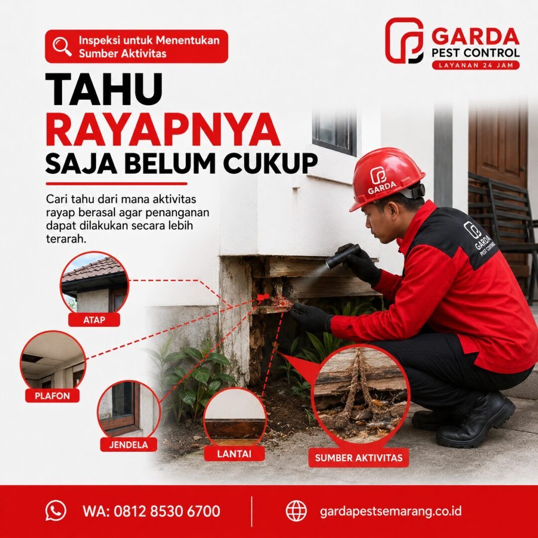 Jasa Pembasmi Rayap Semarang