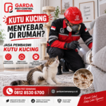 Jasa Pembasmi Kutu Kucing di Semarang Terbaik No.1
