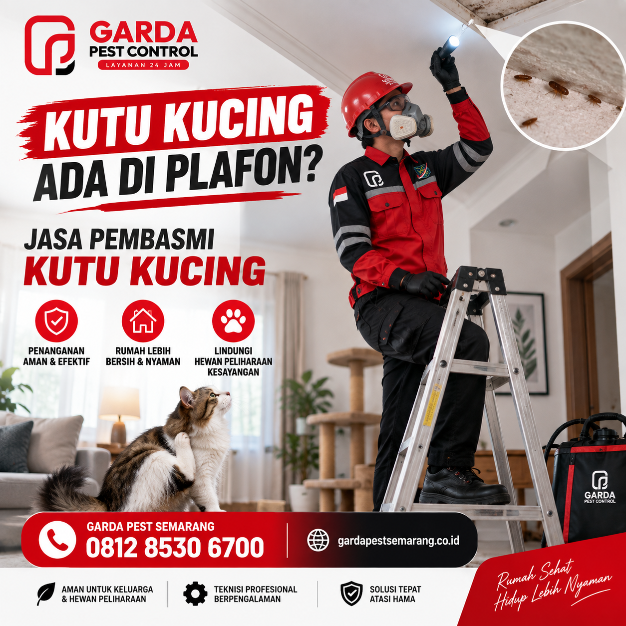 Jasa Pembasmi Kutu Kucing di Semarang Terbaik No.1
