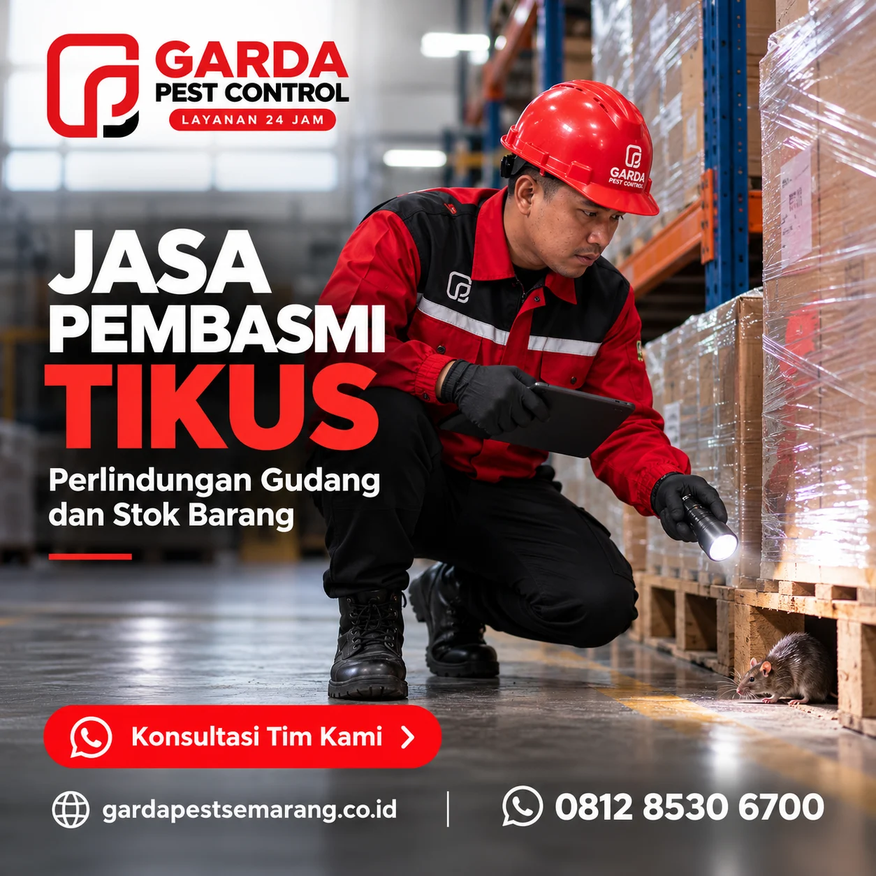 Jasa Pembasmi Tikus di Semarang Barat